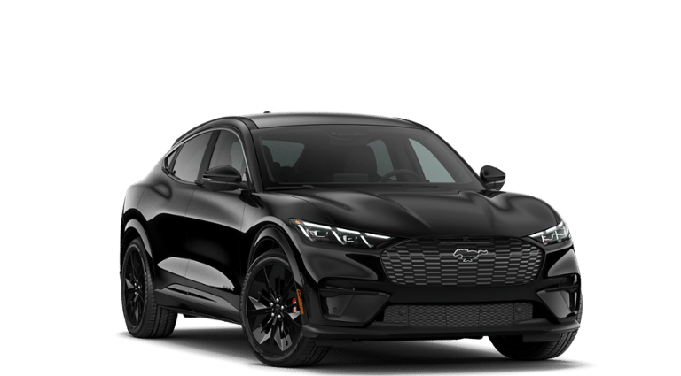 Mustang Mach-E® vehicle